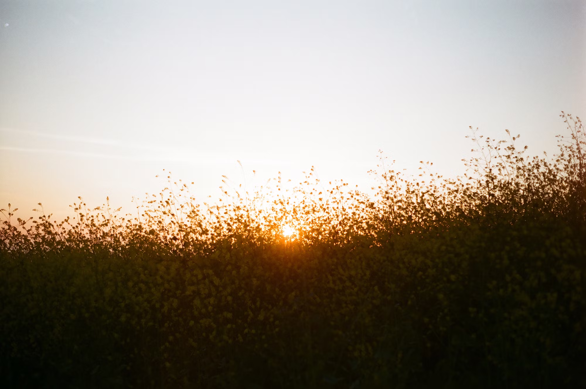 Discovering Nature: A Guide to the Many Faces of Hiking